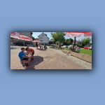 Bild-042.jpg